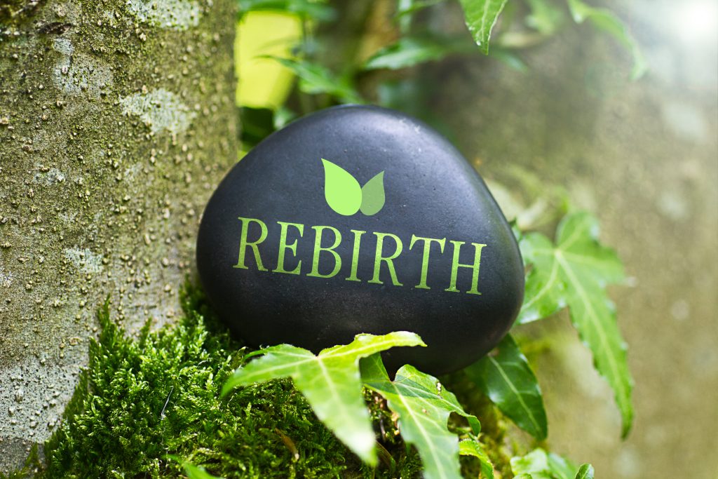 rebirth